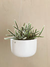 Hanging Ceramic Planter
