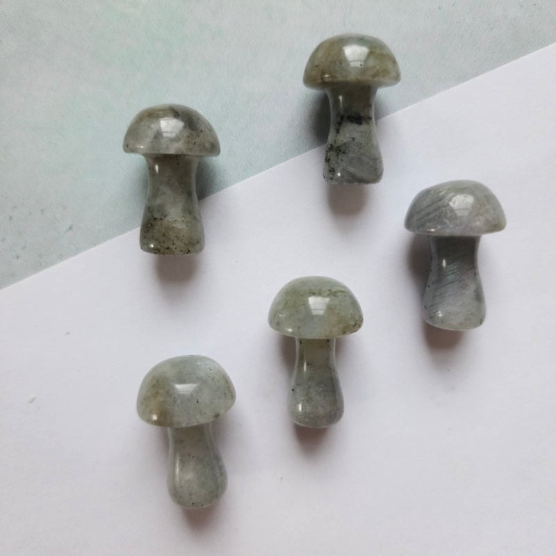 Mini Mushroom Crystal in Labradorite