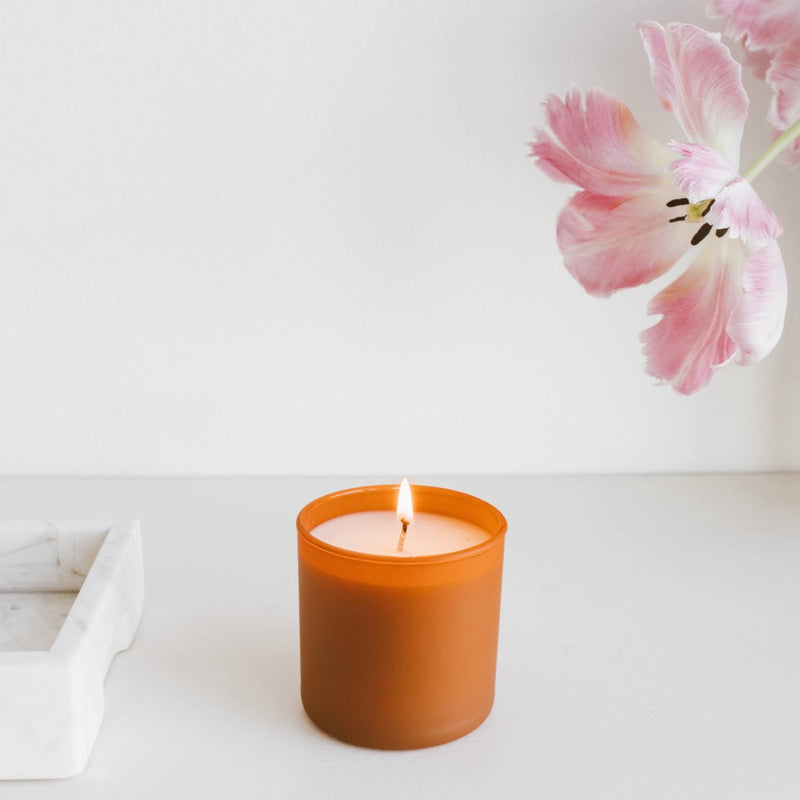 Cedar + Tobacco Dignity Series Soy Candle