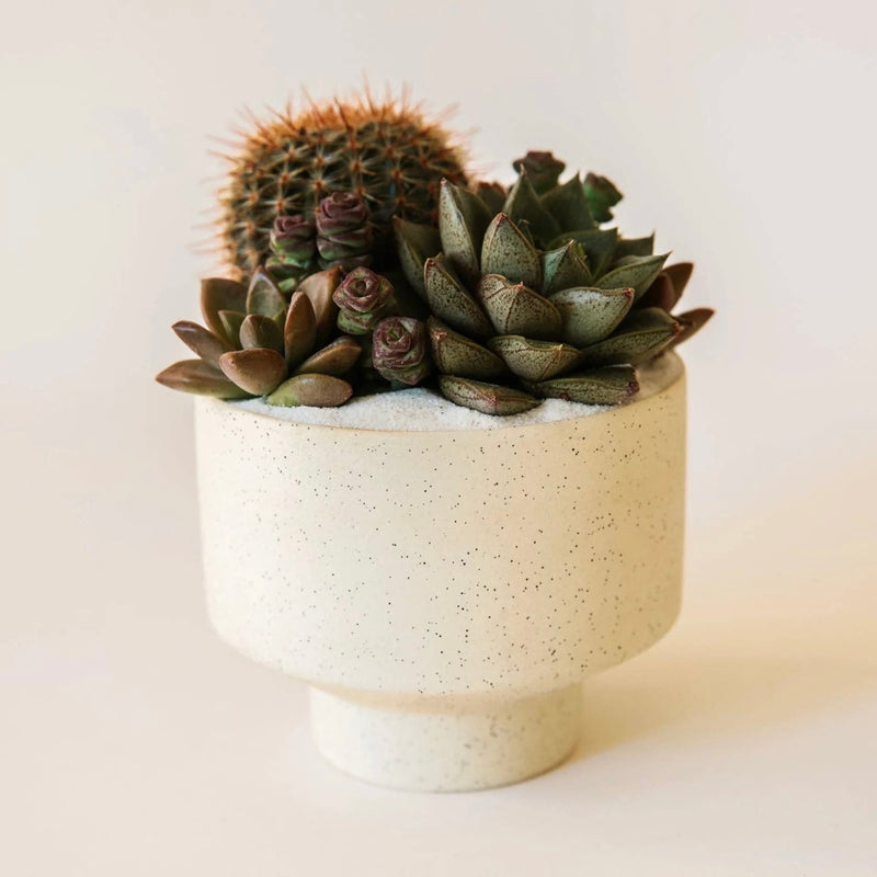 Speckle Footed Pot in Ivory