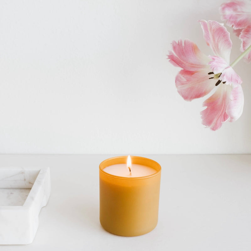 Vetiver + Tonka Dignity Series Soy Candle