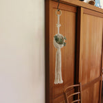 Bohemian Macrame Hanging Pot
